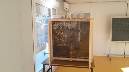 Installation d'une ruche pédagogique Apiscope au sein de l'école élémentaire Jacques Brel